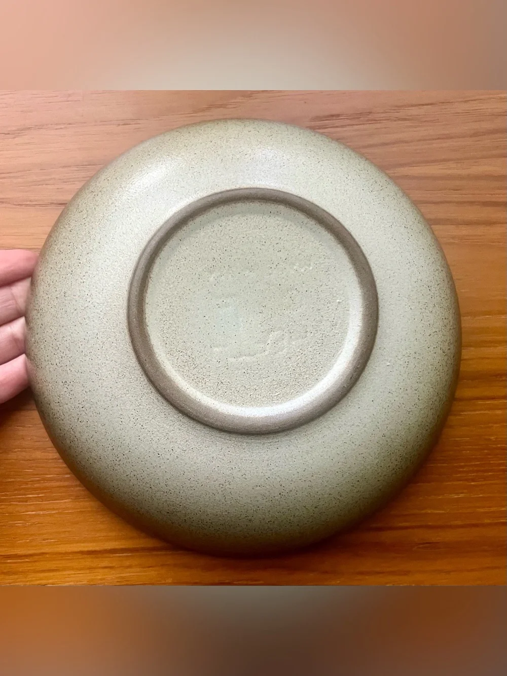 Vintage Heath Ceramics Sea & Sand Coupe Bowl Edith Heath MCM California Pottery